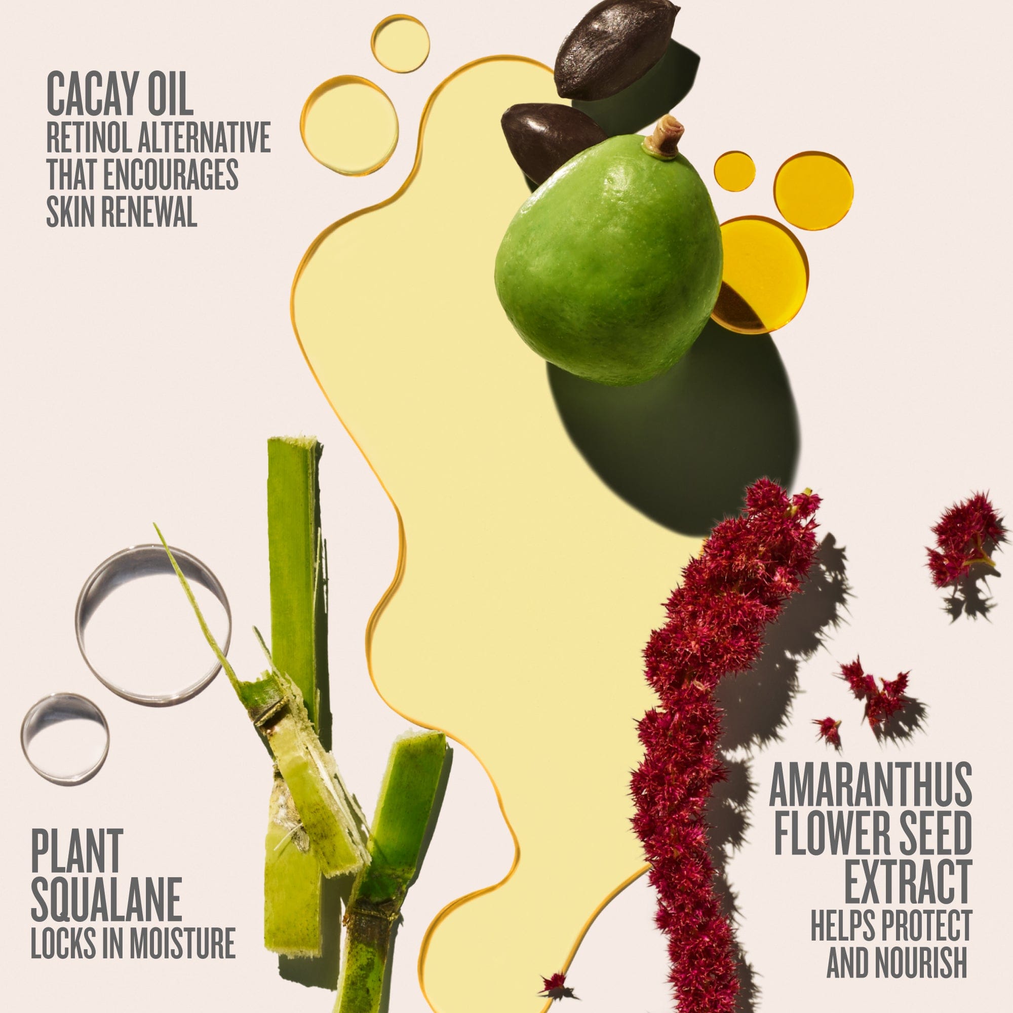 Beija Flor™ Elasti-Body Oil - Image 6